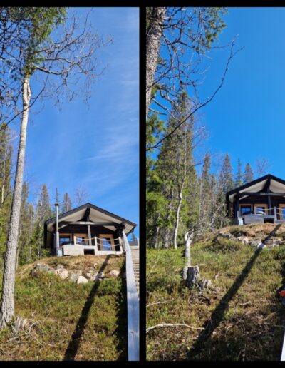 Puunkaato rinteessä | Arboristi Timo Kolmonen, Puruhammas