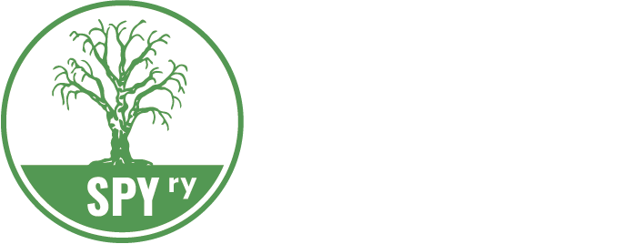 Arboristi Timo Kolmonen Puruhammas.
